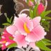 Sandy Eggo - Facebook