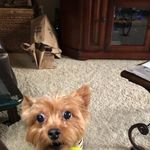 Sandy Eldridge - @sandy.eldridge.5872 - Instagram