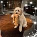 Sandy Eldridge - Facebook