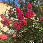 Sandy Eldridge - @spunkycat182 - Instagram