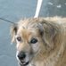 Sandy Elledge - Facebook