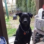 Sandy Elliott - @sandy.elliott.37 - Instagram