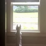 Sandy Ellison Ballard - @sandy.e.ballard - Instagram