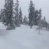 Sandra - @sandyengel49 - TikTok