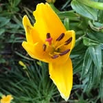 Sandy Engle - @sandy.engle1 - Instagram