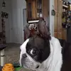 sandyengle473 - @sandyengle473 - TikTok