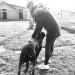 Sandra Engler - @sandra.engler.12 - Instagram