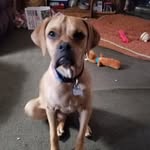 Sandy Engler - @sweetkay65 - Instagram