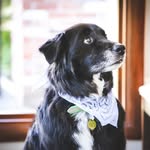 Sandy Englert - @englertsandy - Instagram