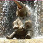 Sandy Ennis Thomas - @beaniebeargirl - Instagram