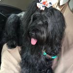 Sandy Enos - @enossandy - Instagram
