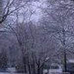 Sandy Enos Leacy - @antlee396 - Instagram