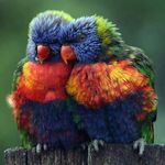 Sandra Epstein - @sandra_ecograndma - Instagram