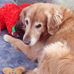 Sandy Erb - Facebook
