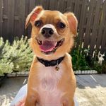 Sandy Erb Marquess - @seemarq - Instagram