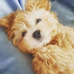 sandy erickson - @sxyerickson - Instagram