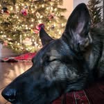 Sandra Ervin - @select_fire_sandy - Instagram