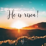 Sandy Erwin Hendon - @scand_nclove - Instagram