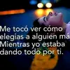 sandy Escamilla - @sandyescamilla - TikTok