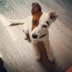 Sandra Färber - @farber_sandra - Instagram