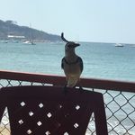 Sandy Farber - @sandy.farber - Instagram