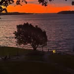 Sandy Farley - @sandyfarley5511 - Instagram