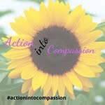 action2compassion-Sandy Finley - @actionintocompassion - Instagram
