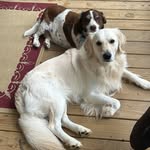 Sandy McAlister Finley - @sandysyrupnat - Instagram