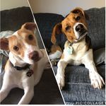 Sandy & Finn - @sandyandfinn - Instagram