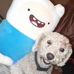 Sandy & Finn - @sandyfinnx100 - Instagram