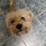 Sandy Finn - @sandy2331 - Instagram