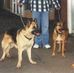 Sandy Forbes - Facebook