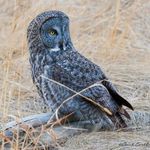Sandy Forbes - @sandyforbesphotography - Instagram