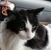 Sandy Forbes - Facebook