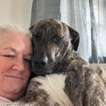 Sandy Forbes - @slforbes1966 - Instagram