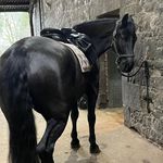 Sandy Maxwell Forbes - @sandymaxwellforbes - Instagram