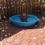 Sandy Forrest - @sandyaforrest - Instagram