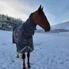 sandyforster683 - @sandyforster683 - TikTok