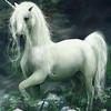 Sandy Forsythe - @sandy.forsythe - TikTok