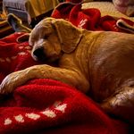 Sandra Fortner Foley - @sandrakfoley - Instagram