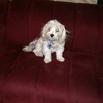 Sandy Fortune - @fortune.sandy - Instagram