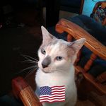 Sandy Fortune - @sandy.fortune.56 - Instagram
