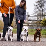 Sandra Foss - @sandras_hundliv - Instagram