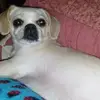 sandyluckeyfoss - @sandyluckeyfoss - TikTok