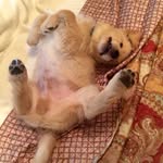 Sandy Frazier - @sandyfrazier5439 - Instagram
