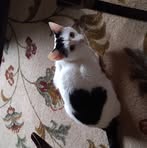 Sandy Frazier - Facebook