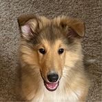 Sandra Fromm-Frederickson - Facebook