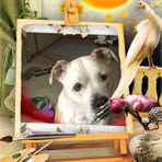 Sandy Freshour - Facebook