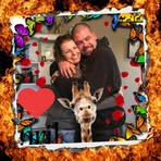 Sandy Freshour - Facebook