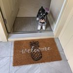 Sandy Freund - @scfreun - Instagram
